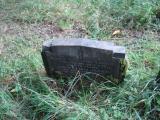 image of grave number 355488